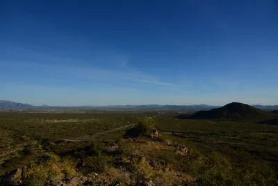 DSC_1852 (Large).JPG